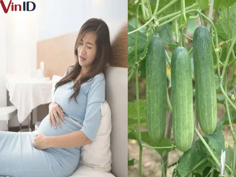 Dưa leo và những lợi ích