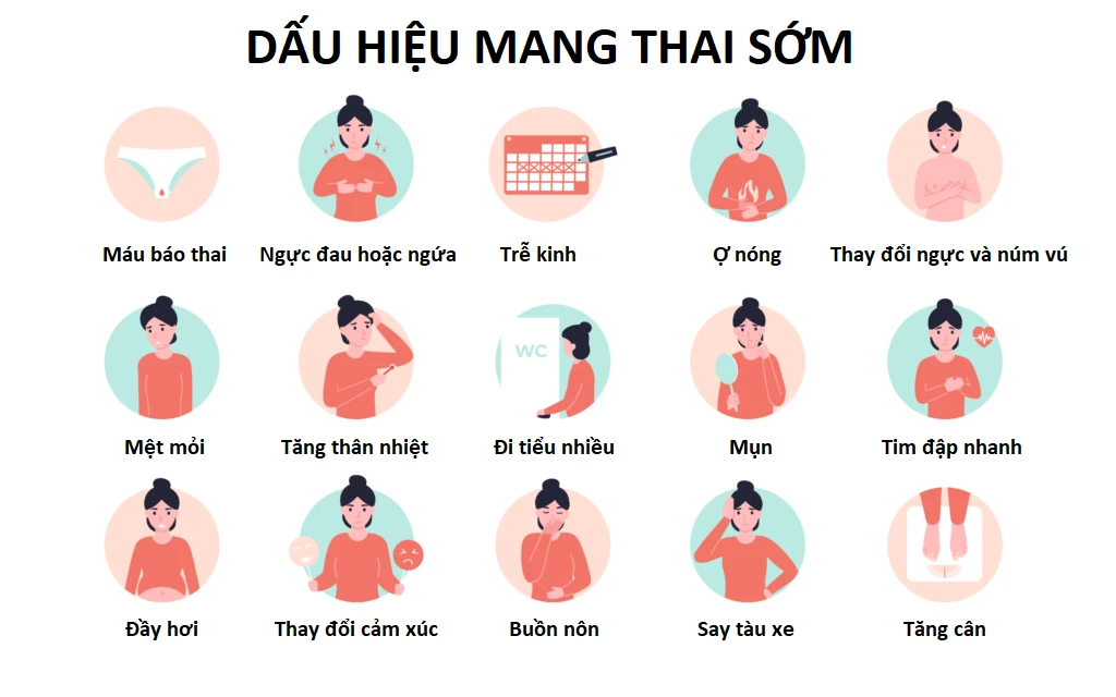 Hình ảnh minh họa 3