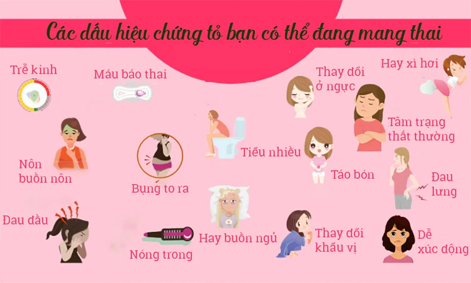 Hình ảnh minh họa 5