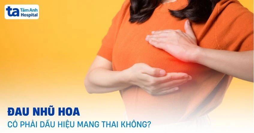 Đau nhũ hoa có phải dấu hiệu mang thai?