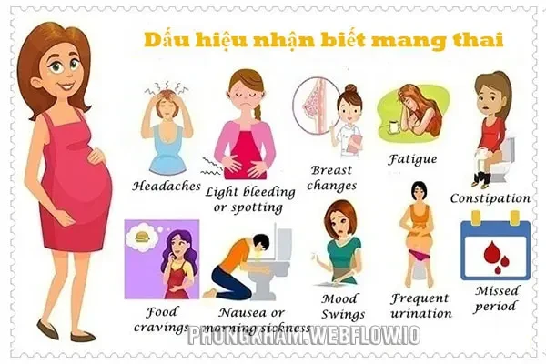 Dấu hiệu có thai