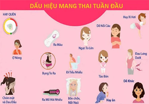 Dấu hiệu mang thai