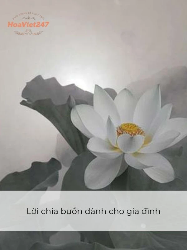 Lời Chia Buồn