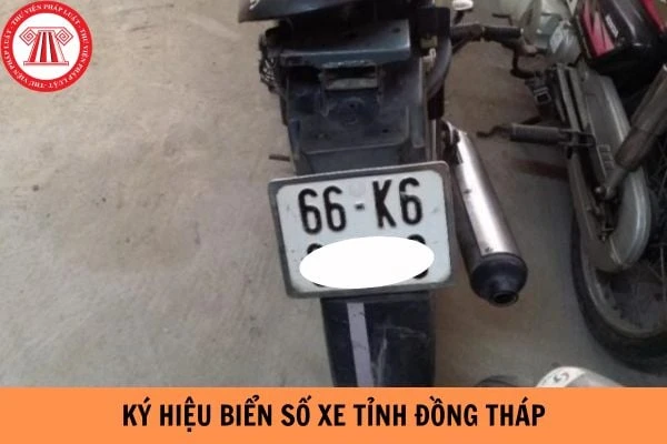 Hình ảnh cảnh đẹp tỉnh Đồng Tháp