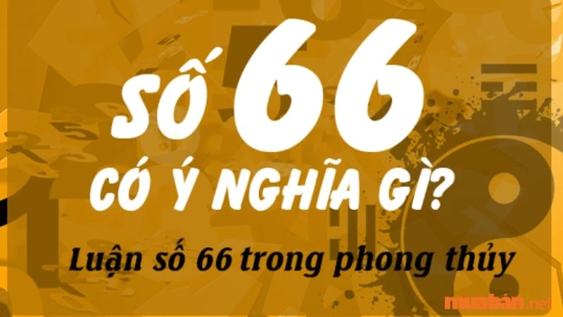 Biển số xe 66 và ý nghĩa của nó