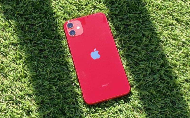 iPhone 11 có mấy màu? iPhone 11 màu nào bán chạy nhất hiện nay - Thegioididong.com