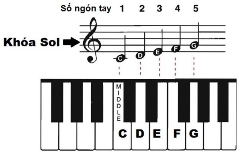 Ký hiệu các nốt nhạc Piano cơ bản và cách đọc, cách ghi nhớ