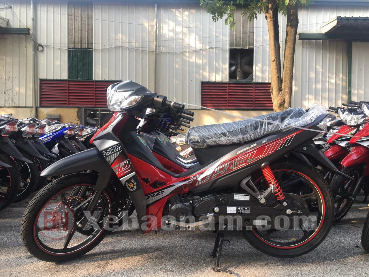 Xe Máy 50cc Sirius Dealim RC