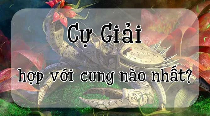 18/7 là cung gì - Sinh ngày 18/7 cung hoàng đạo nào - ngày 18 tháng 7 cung hoàng đạo nào