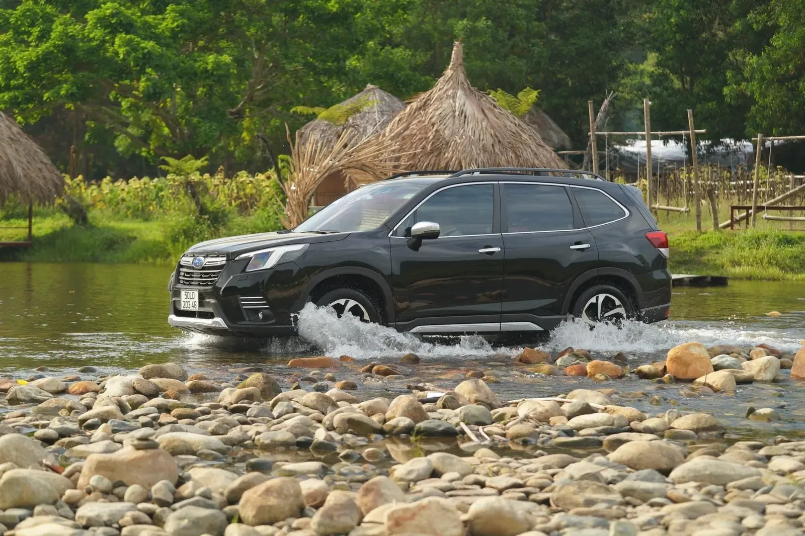 Thông Số Kỹ Thuật Subaru Forester 2024