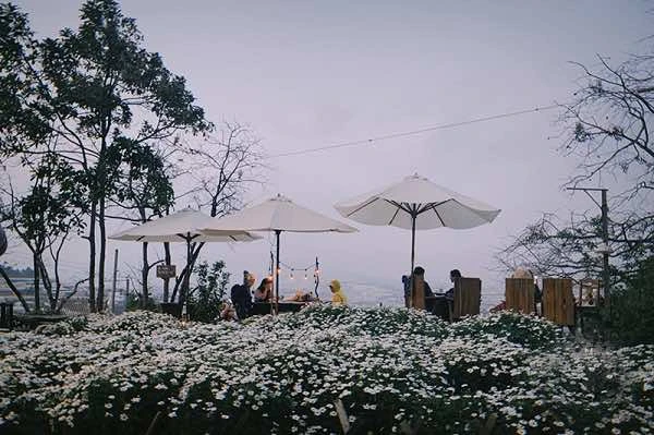 Bỏ Túi Top Quán Cafe Đà Lạt ” đỉnh của chop”