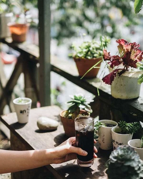 Bỏ Túi Top Quán Cafe Đà Lạt ” đỉnh của chop”