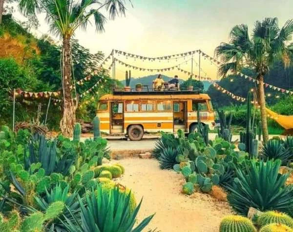 Bỏ Túi Top Quán Cafe Đà Lạt ” đỉnh của chop”