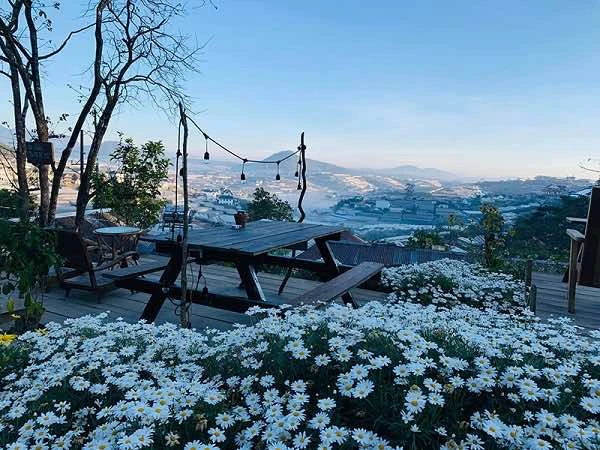 Bỏ Túi Top Quán Cafe Đà Lạt ” đỉnh của chop”
