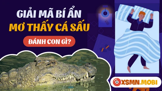 Mơ thấy con cá sấu có ý nghĩa may mắn hay đen đủi?