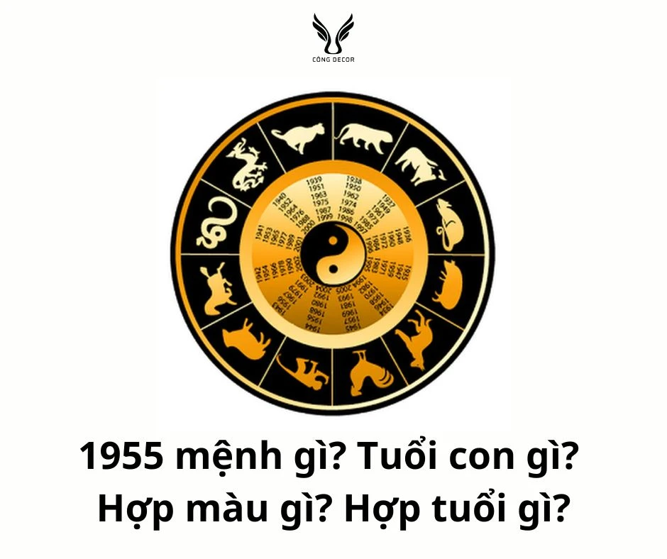 Người sinh năm 1955 mệnh gì? Nam nữ 1955 tuổi con gì? Hợp màu gì? Hợp tuổi gì?