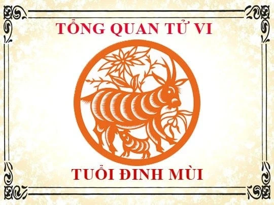 Xem tử vi tuổi Đinh Mùi 1967 - Nam mạng năm 2025 Ất Tỵ