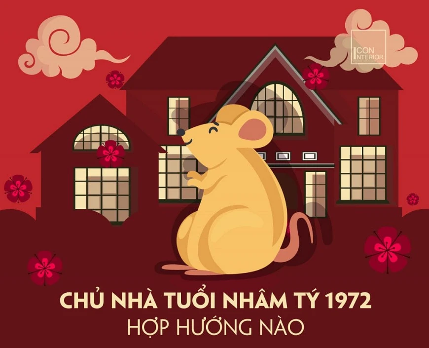 Xem phong thủy làm nhà đẹp cho tuổi Nhâm Tý 1972 năm 2023 myvietgroup