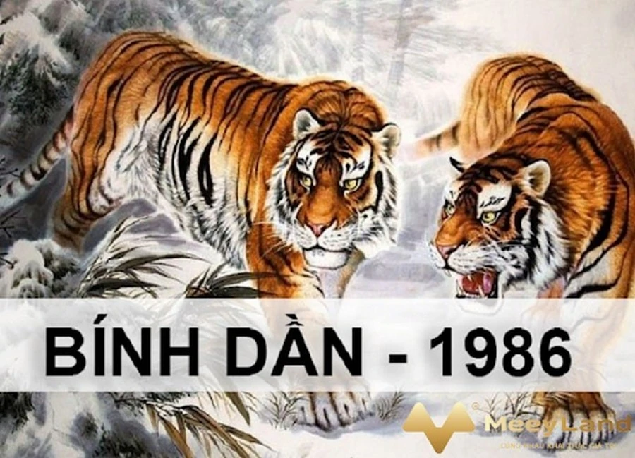 Tuổi Bính Dần sinh năm 1986 - Tử vi trọn đời Nam|Nữ mạng