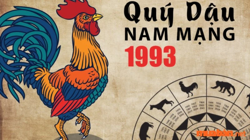 Nam 1993 lấy vợ tuổi nào hợp để có cuộc sống viên mãn?