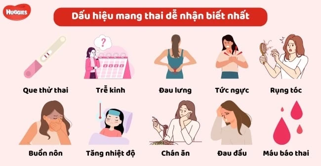 Dấu hiệu có thai và những thay đổi cơ thể phụ nữ